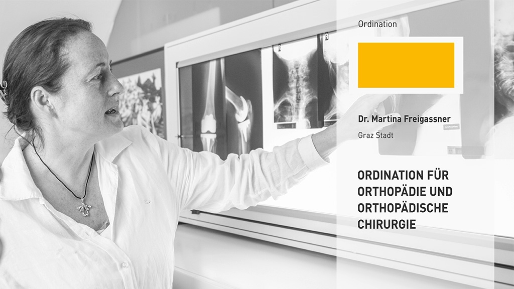Dr Martina Freigassner bei der Befundung